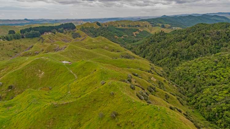 240 Agnews Road Hunterville_11