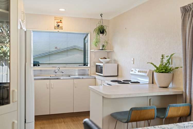 65a Domain Road Papamoa_15