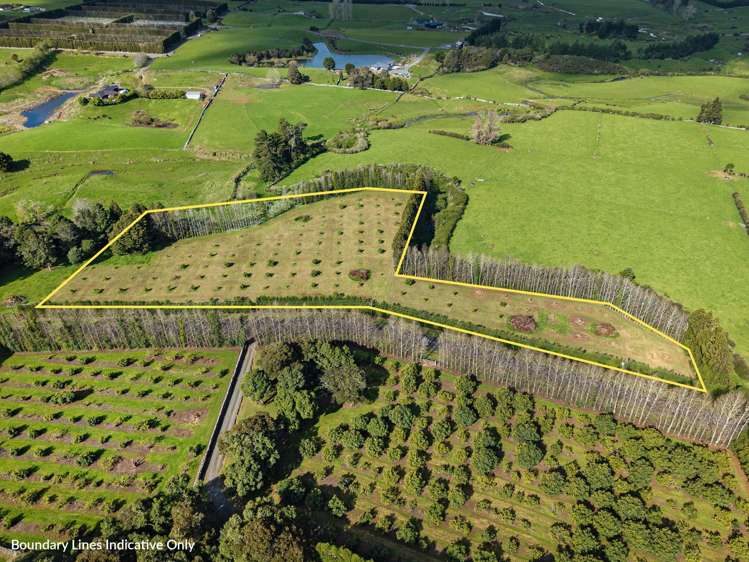 131 Tatton Road Maungatapere_17