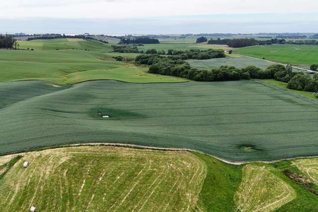 142 Deep Creek Road Waimate_3