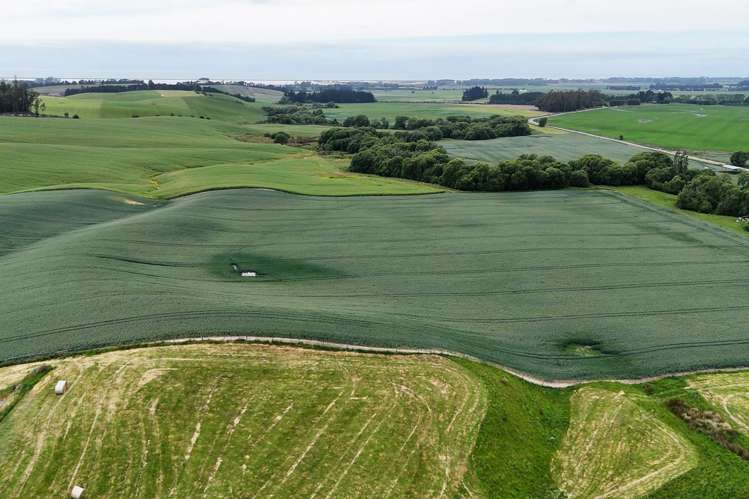 142 Deep Creek Road_3