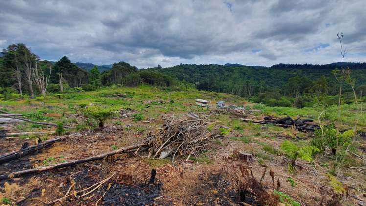 574 Honeymoon Valley Road Peria_7