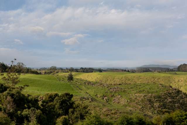 1302/3 Pongakawa Bush Road Pongakawa_3