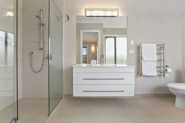 166J Postman Road Dairy Flat_26