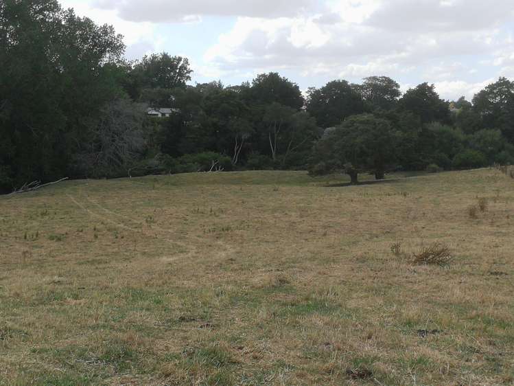 Kereone Road Morrinsville_9