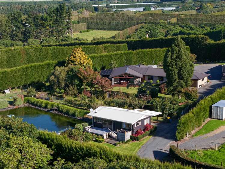 78B Walker Road East Aongatete_22