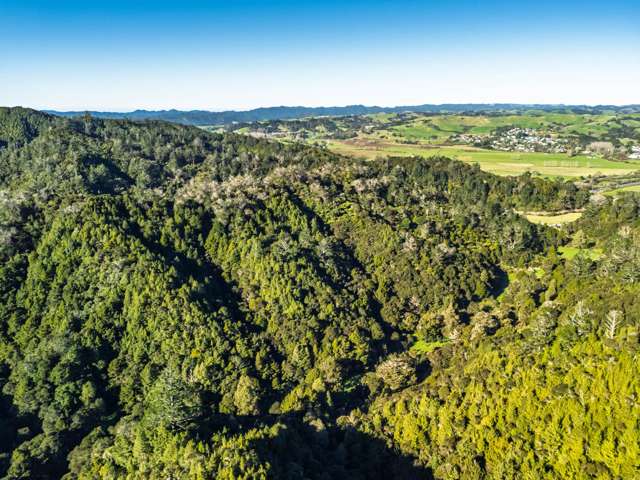 Whangae Road Kawakawa_4