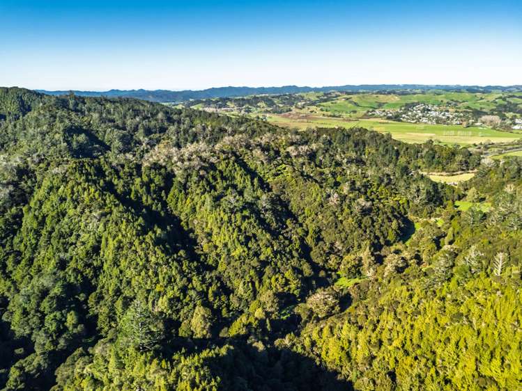 29 Whangae Road Kawakawa_8