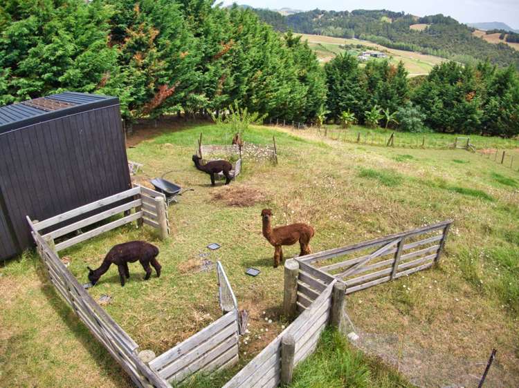 18 Kohanga Lane Mangawhai_24