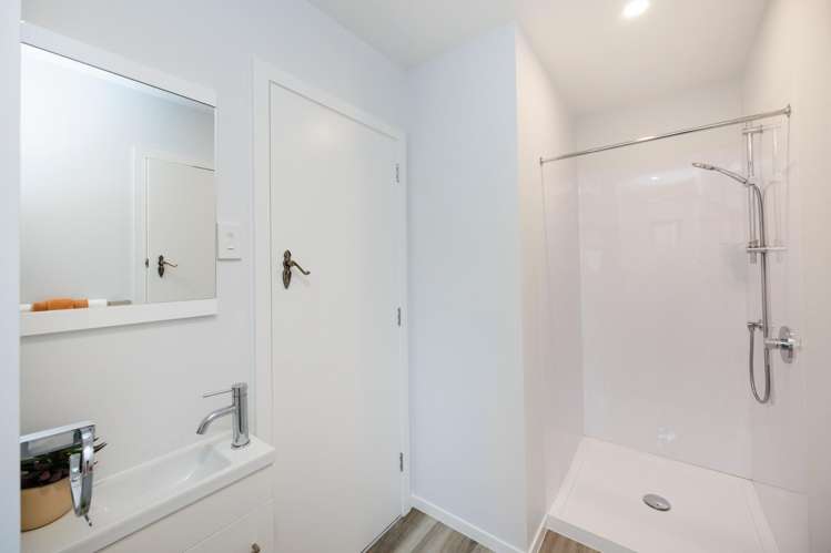 47 Dittmer Drive Awapuni_7