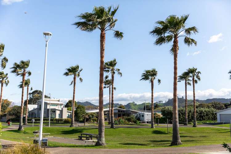 12 Palm Grove Waihi Beach_36