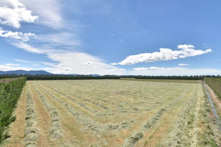 574 Steffens Road Oxford_21