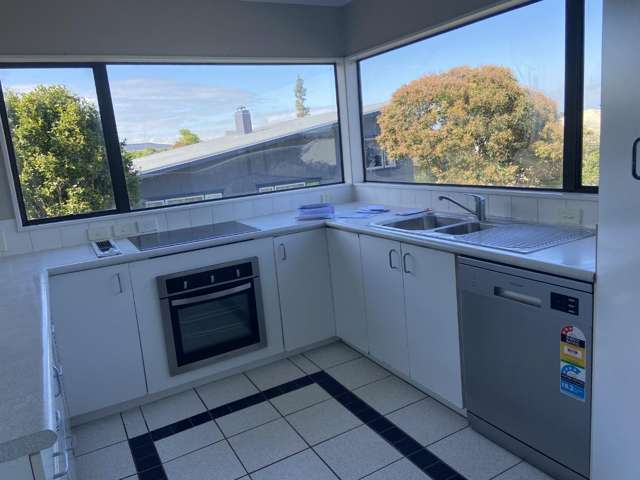 49c Carey Street Maeroa_2