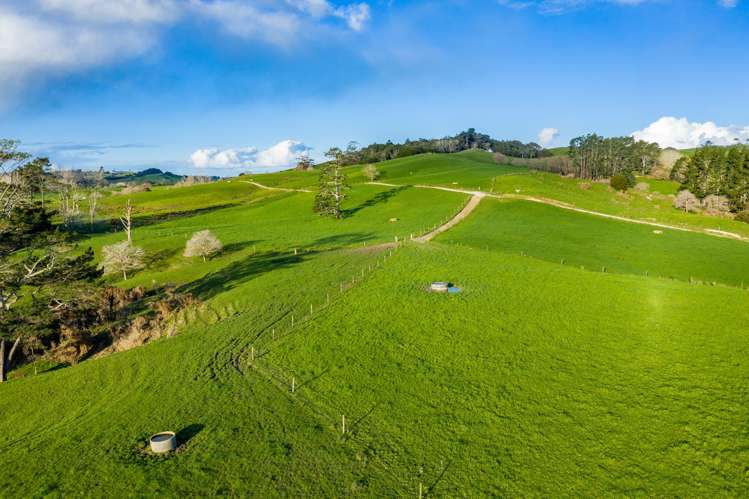 400 Partridge Road Wellsford_13