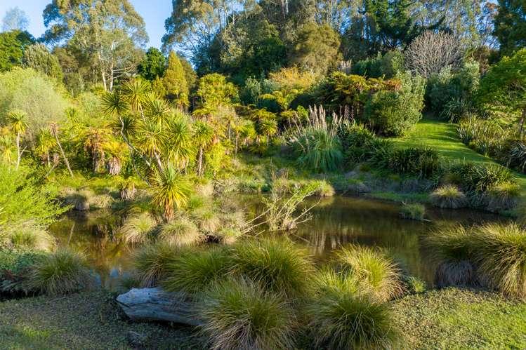 110 Butcher Road Matangi_28