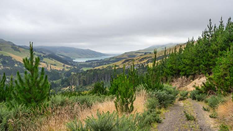 226 Middle Road Pigeon Bay_34