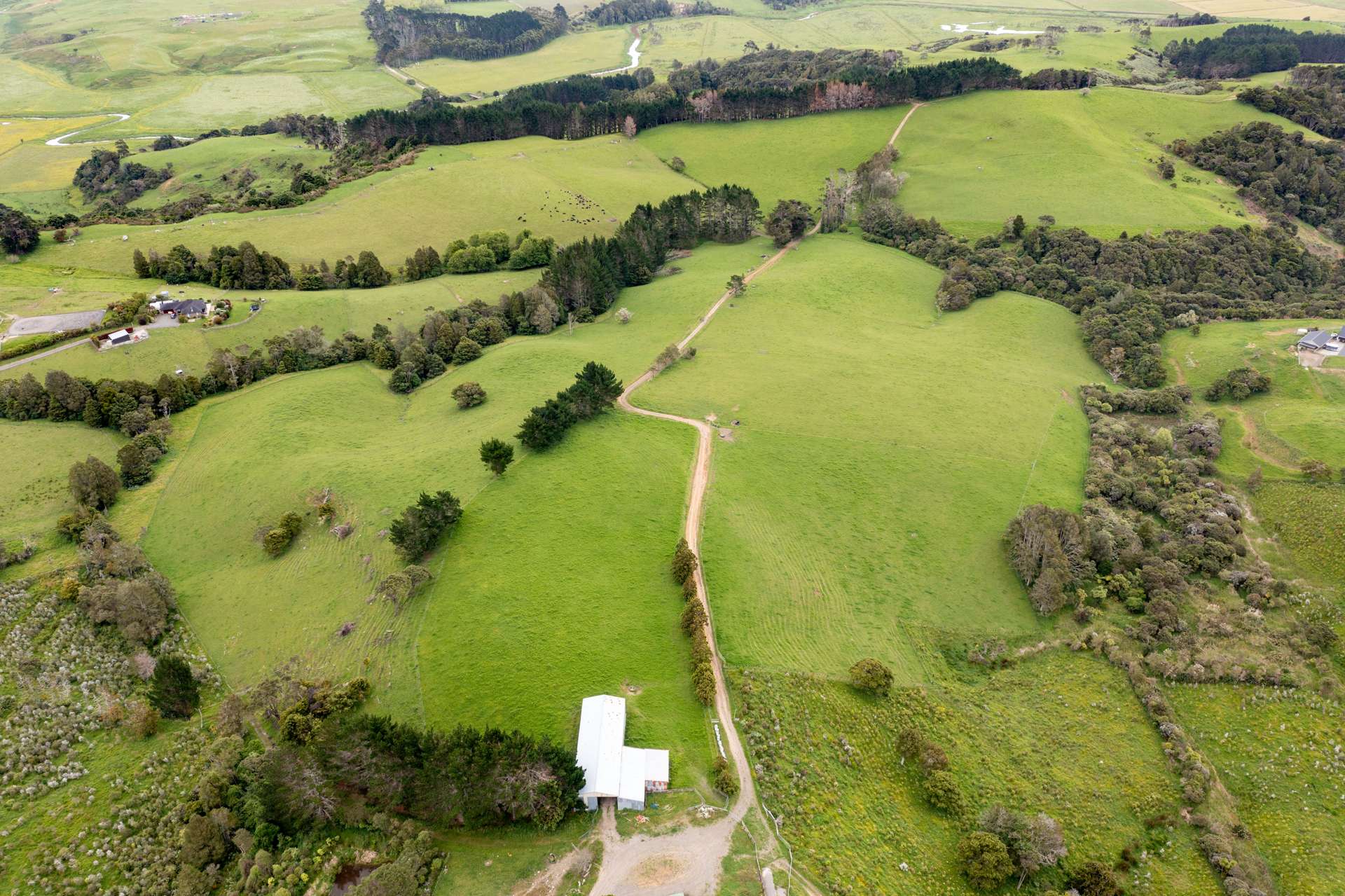 Kiwitahi Road Helensville_0