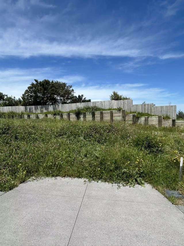 25 Tiller Street Hobsonville_1