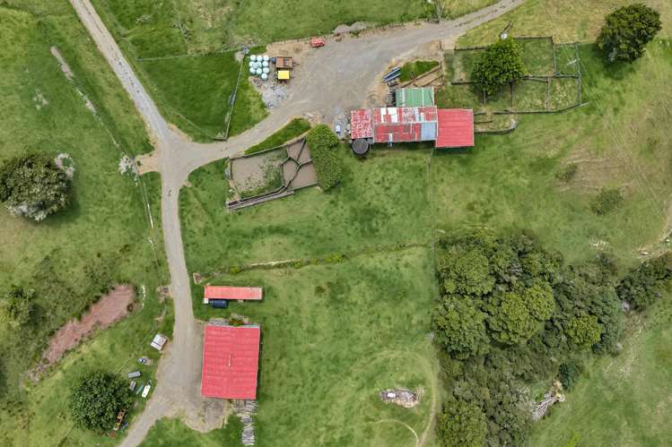 Pipiwai Road Purua_38