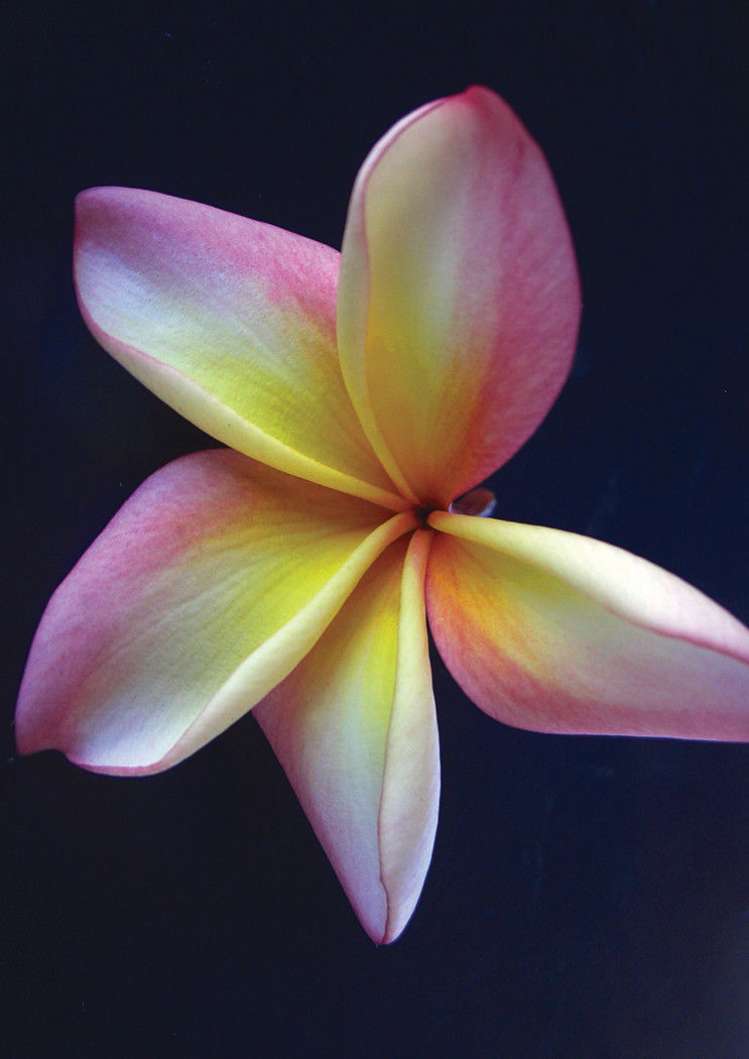 330 West Coast Road Awanui_19