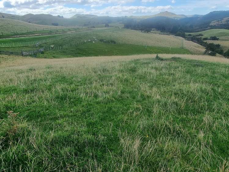 4820 Pahiatua Pongaroa Road Pongaroa_8