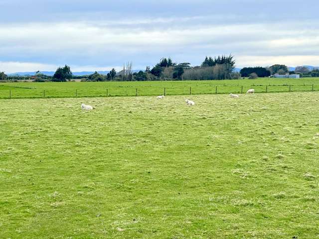 Choice Building Block!