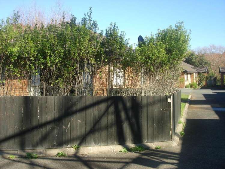 54 Dundale Avenue Blockhouse Bay_4