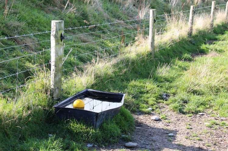 758 Gore Mataura Highway Mataura_12