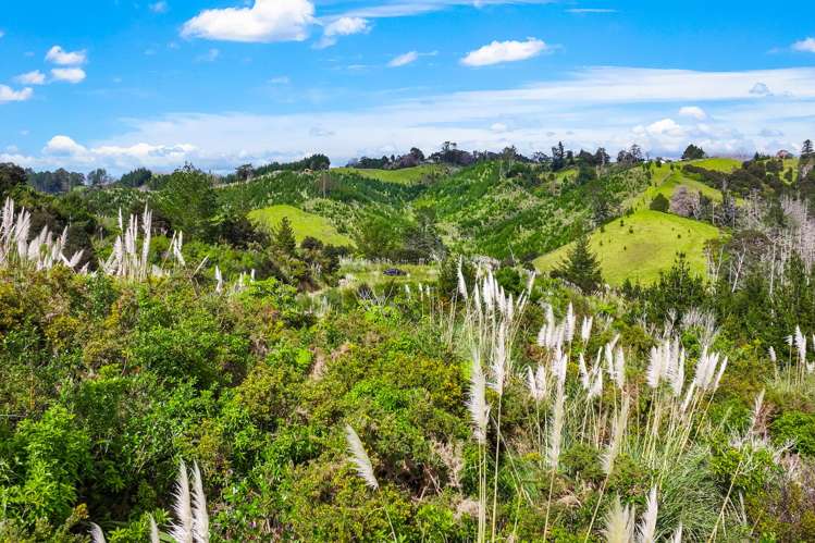 Lot 3 Radiata Road Warkworth_21