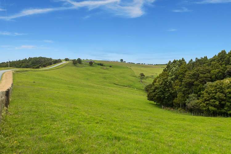 26 Cape Rodney Road Leigh_21