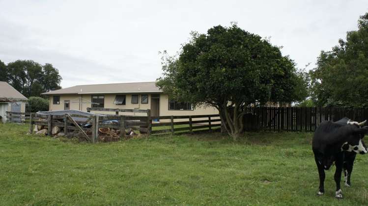 241 Saint Leger Road Kihikihi_13