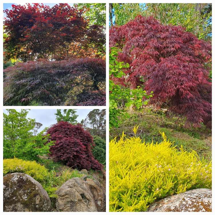 128E Mauku Road Patumahoe_30