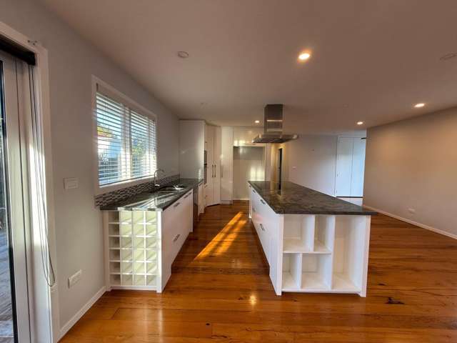 102 Owairaka Avenue Mount Albert_3