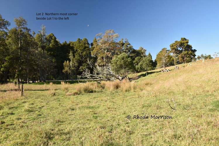 Golden Stairs Rd Maungaturoto_11