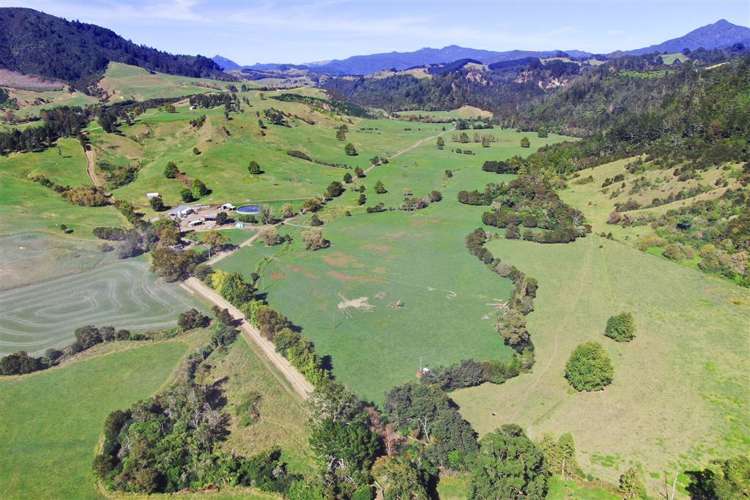 57 Hall Road Hikuai_22