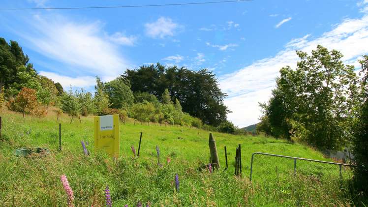 Canna Street Lawrence_9