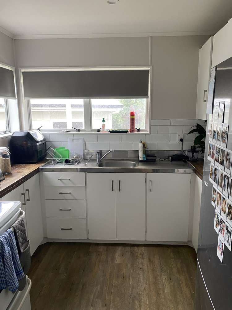 10 Williams Avenue Morrinsville_1