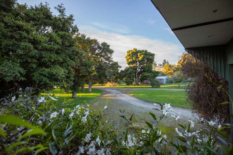 349 Wakefield-Kohatu Highway Wakefield_19