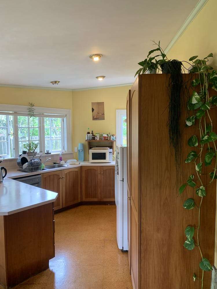 17c Peary Road Mount Eden_9