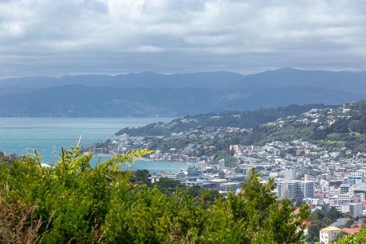 31 Highbury Road Highbury_3