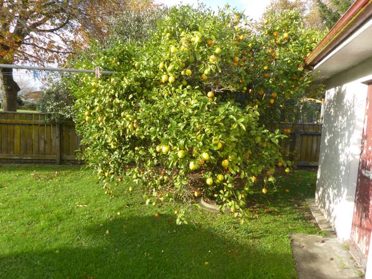 11 Duna Place Takaro_15