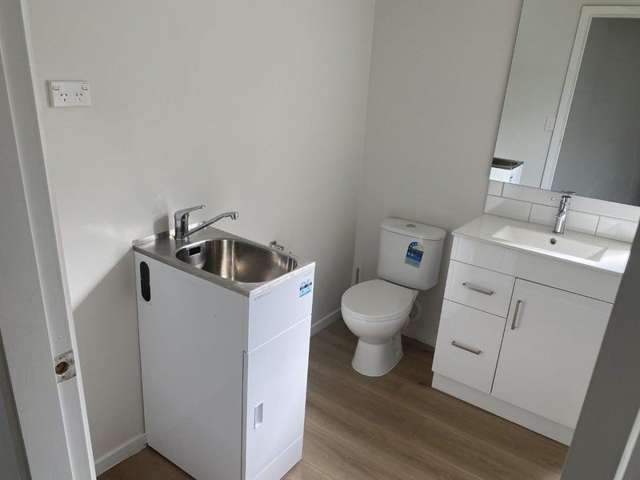 B/18 Wilton Street Levin_4