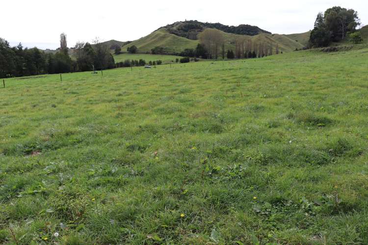 292 Gordon Road Toko_3