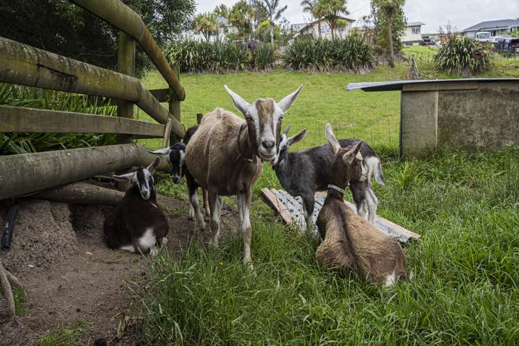 9 Bickerstaffe Road Maungaturoto_23