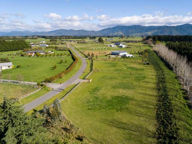 Governors Green Drive Greytown_4