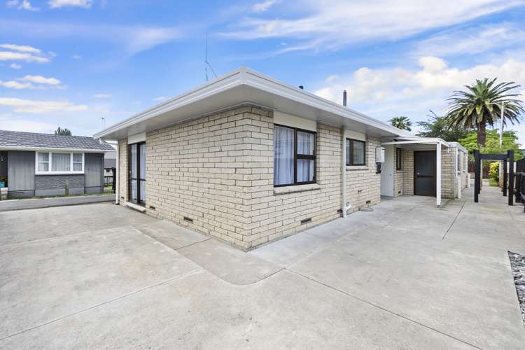 86B Clyde Street Hamilton East_0