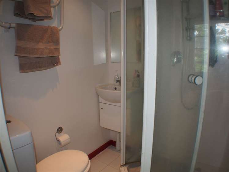 29 Devon Street Aro Valley_11