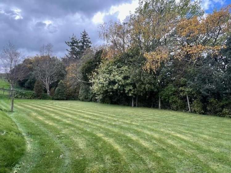 Lot 16, 1061 Makino Road Halcombe_15
