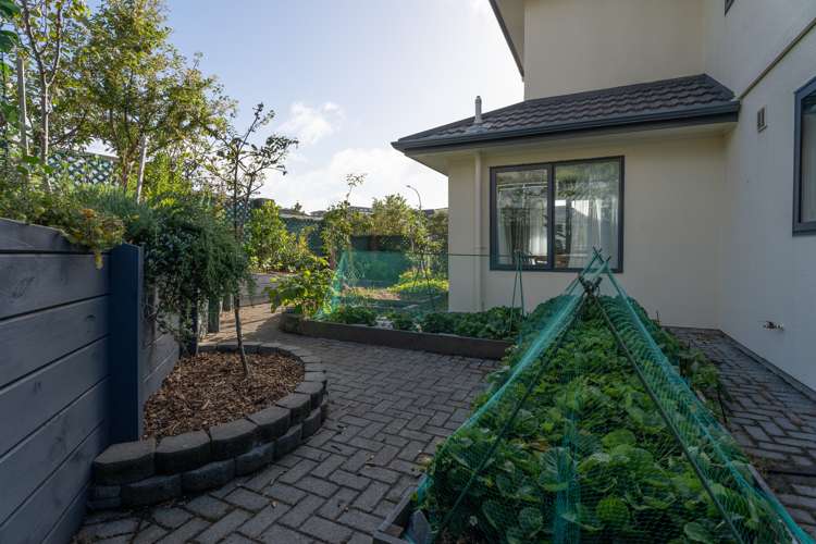 7 Amesbury Drive Churton Park_29
