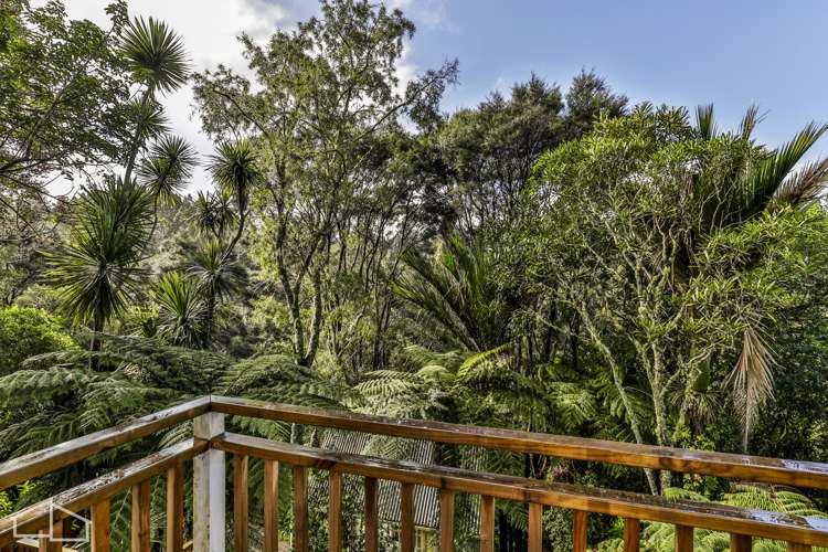 26 Mahoe Road Titirangi_22